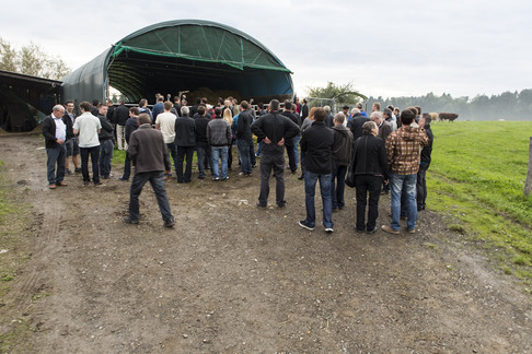 Eberle - DieStraussenfarm.ch - Aachen 568 - 9402 Mörschwil / Führungsgruppe vor Straussenstall